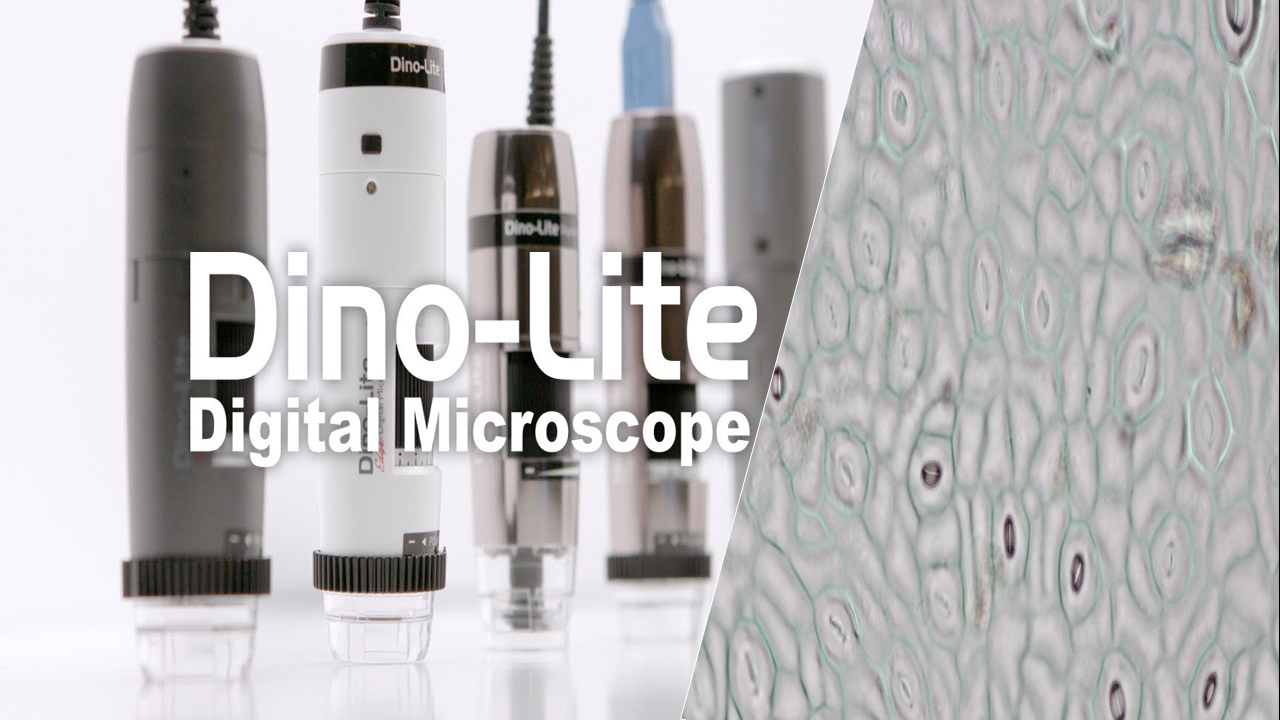 Dino Lite Microscope